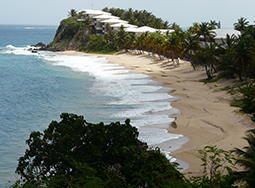 Caribbean View